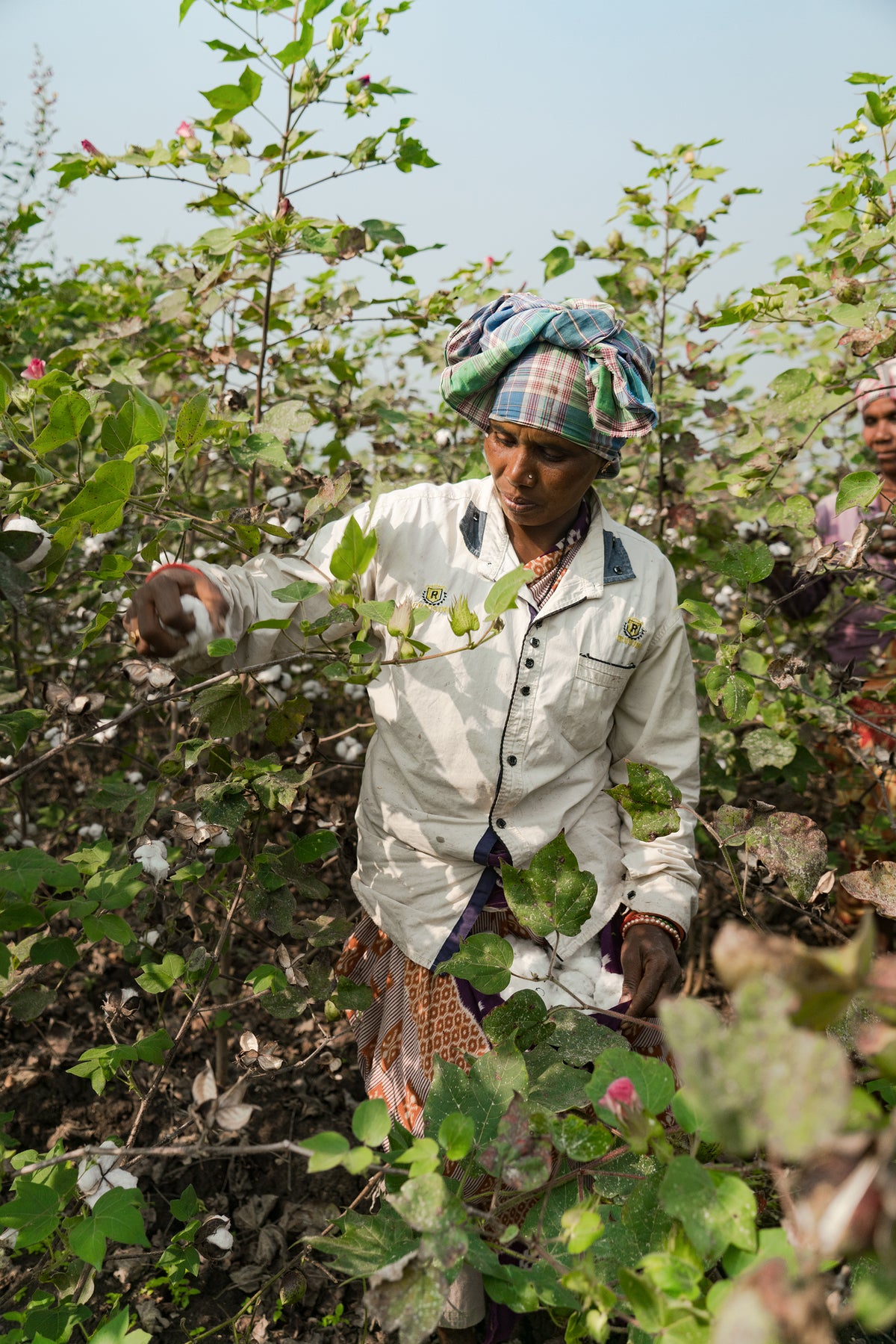 Därför är Fairtrade viktigt